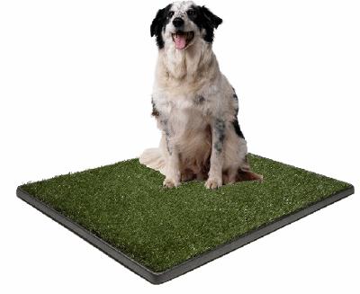 Houseboat Dog Potty - disposable portable training pads for dogs.
