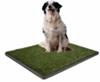 Houseboat Dog Potty Training Pads