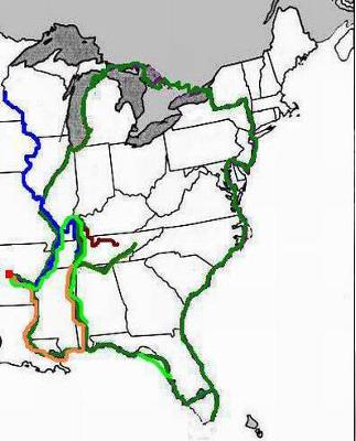 Typical route for houseboats on the Great Loop.