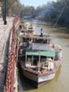 Some houseboats at Echuca Wharf, Murray River, Australia